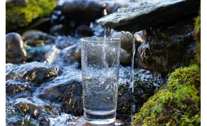 Чому навесні якість води погіршується? 