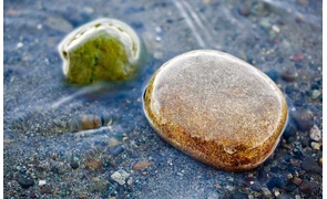 Разные виды и свойства воды