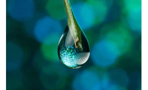 Занимательные факты о воде для детей и взрослых