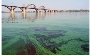 Причини цвітіння води: у водоймі, в кулері
