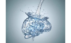 Питна вода і її значення для мозкової активності людини