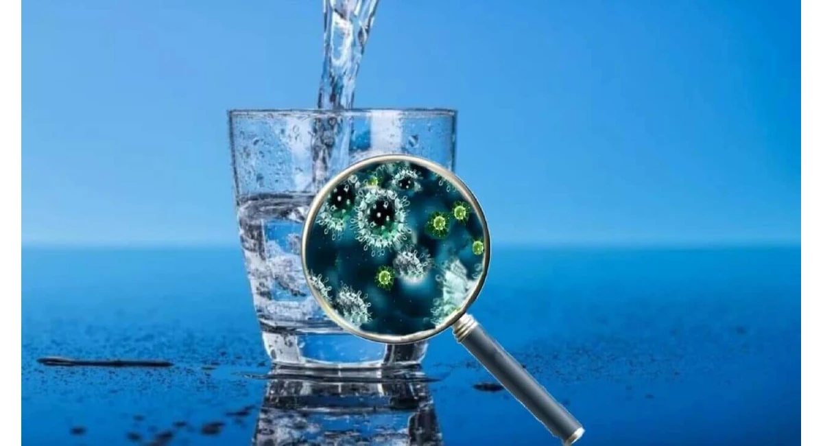 Чим небезпечні віруси та бактерії в питній воді