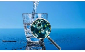 Чим небезпечні віруси та бактерії в питній воді